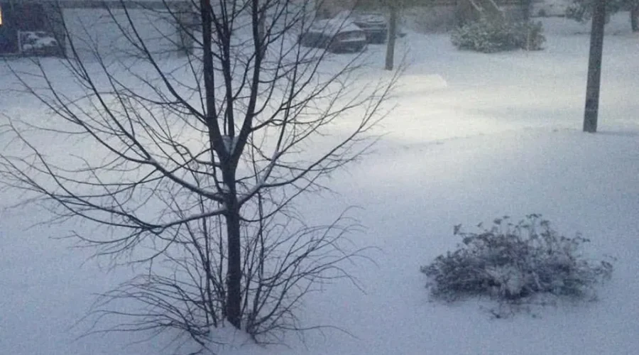 Spring Storm Dumps Almost 23 Centimetres Of Snow On Greater Moncton