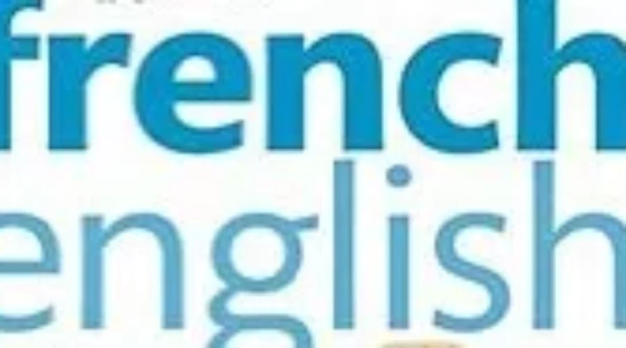 Bilingualism In Moncton Committee Presents Final Report
