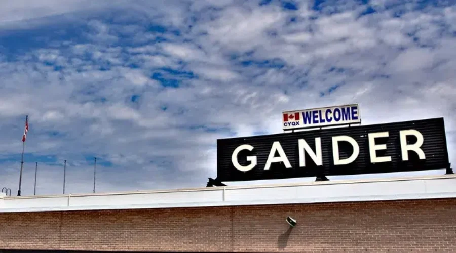 Plane Crash In Gander Sends Three To Hospital