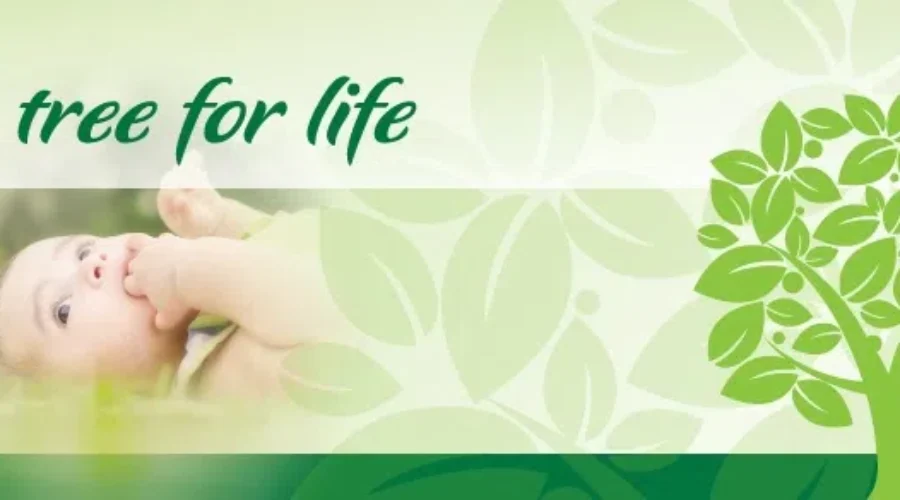 Tree Of Life Program Being Introduced In Dieppe