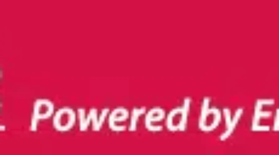 Business Optimism Steady In New Brunswick, Lower Than National Average