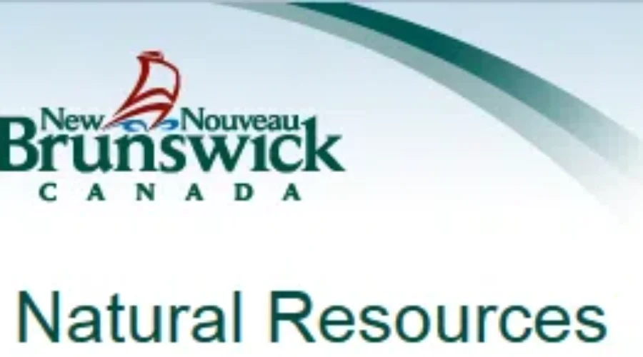 Department Of Natural Resources Reminding People To Leave Young Animals Alone