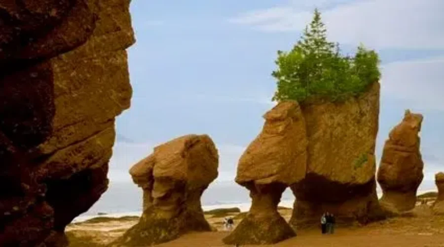 Tourists Invited To Name New Rock Formations At Hopewell Rocks