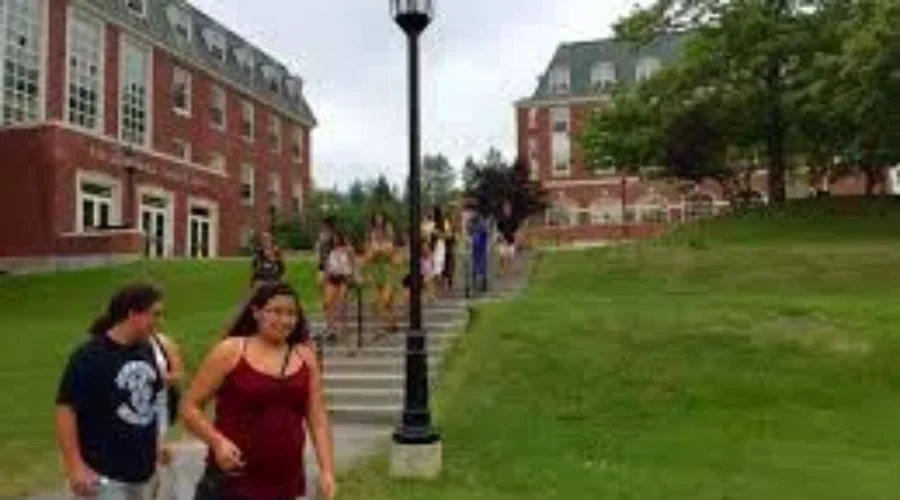 Tuition Fees At UNB Are Rising