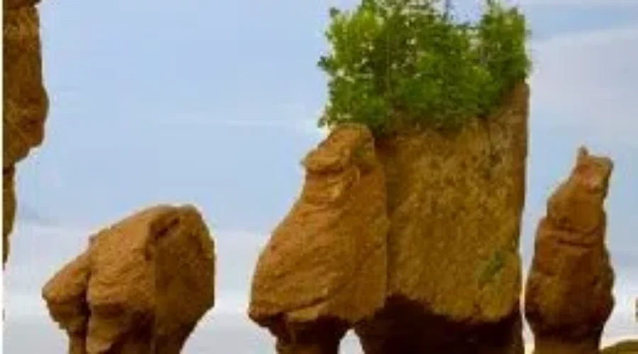 Hopewell Rocks Officially Open For The Season
