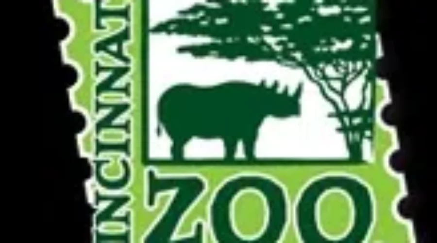 Online Petition Launched After Killing Of Gorilla Sparks Outrage