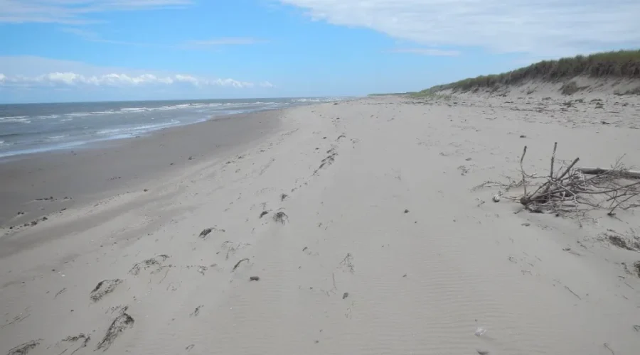 NB Cottage Market Heating Up Again