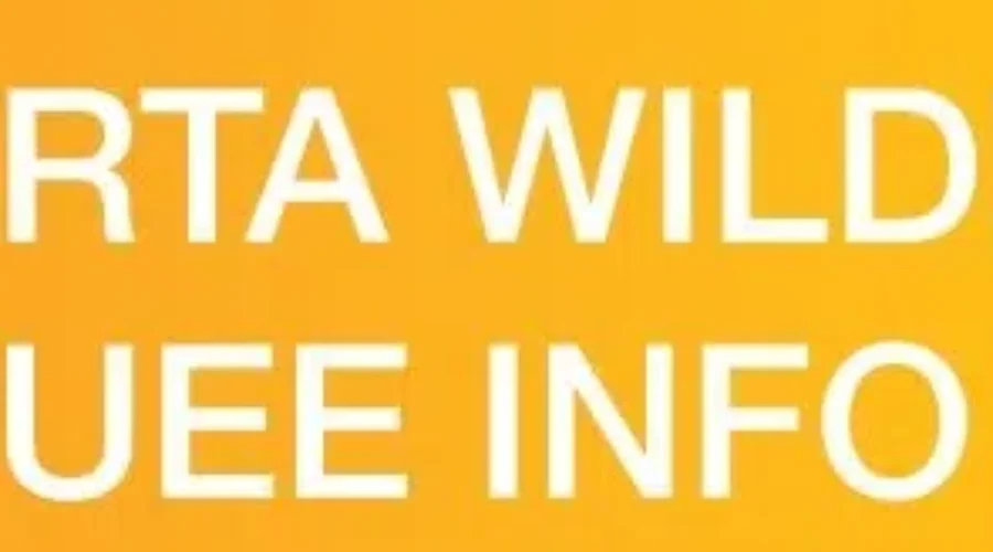 Alberta Government Offers Assistance To Evacuees From Outside Province