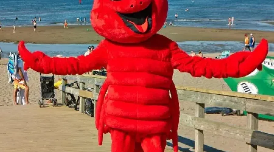 Longest Lobster Roll In Shediac