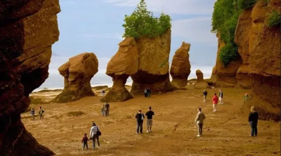 Free Admission Into Provincial Parks For New Brunswick Day