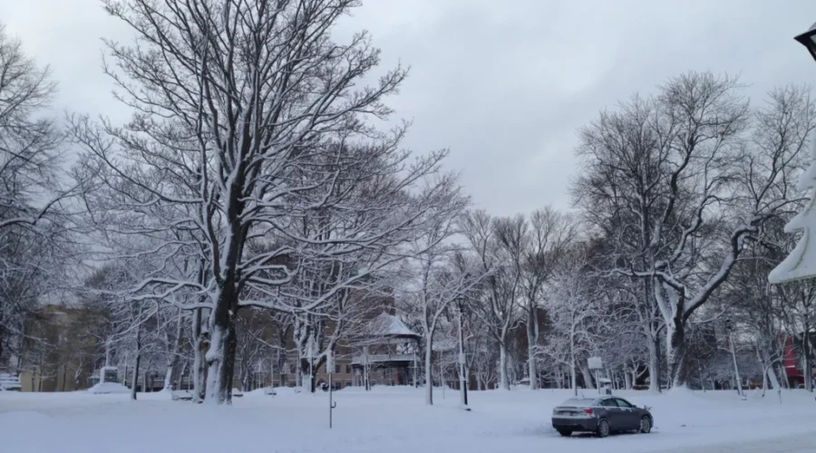 Increase In Number Of Atlantic Canadians Using Winter Tires