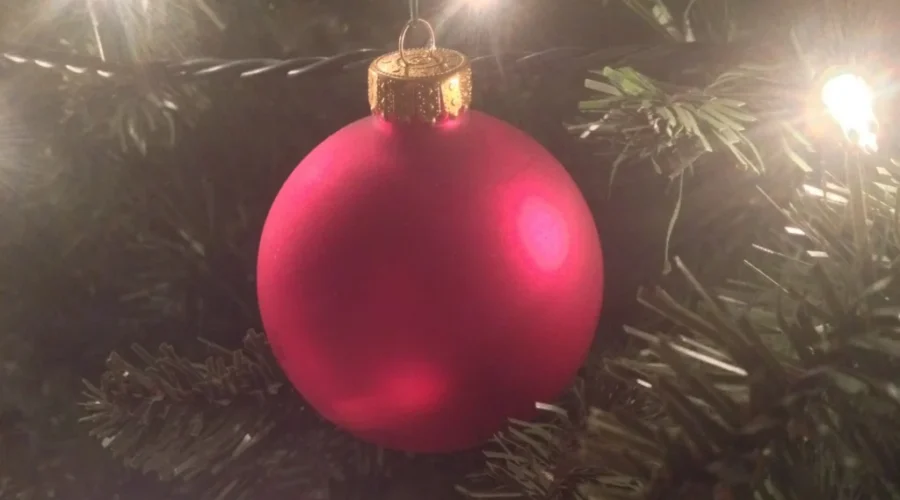 Food Safety Tips For Christmas Dinner