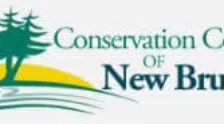 Climate Change May Also Bring Positive Changes To New Brunswick