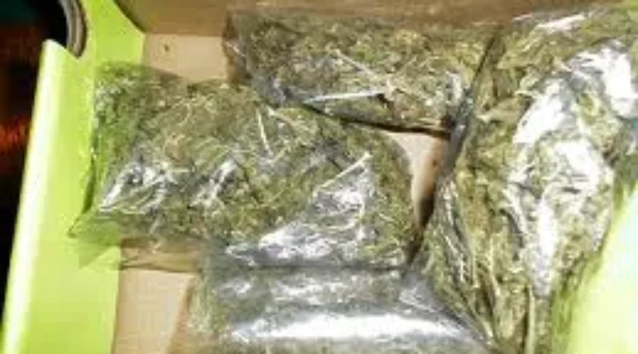 Report On Legalising Marijuana Released