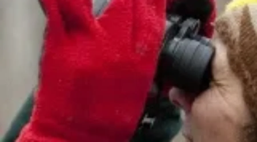 Annual Bird Count Set For Tomorrow at Fundy National Park