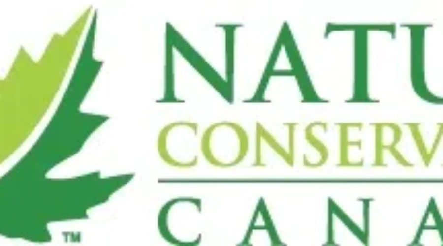 Christmas Fundraiser Supports “Moose Sex Project”