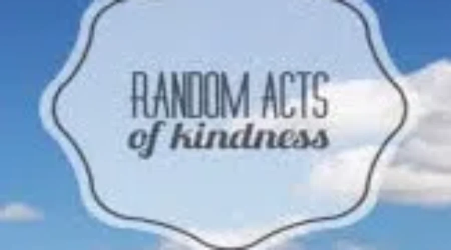 Bessborough School Students Working With Kindness Calendar