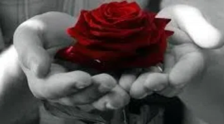 It’s National Day Of Remembrance And Action On Violence Against Women