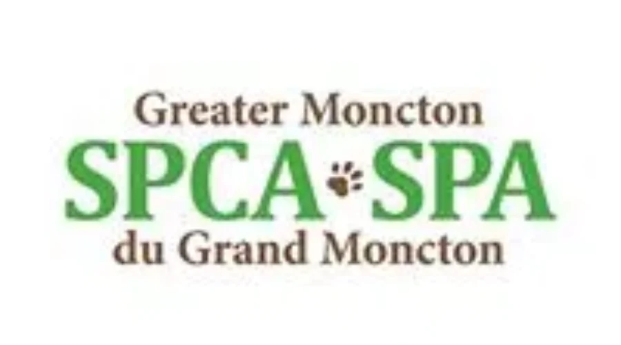 Greater Moncton SPCA Sees Increase In Numbers In 2016