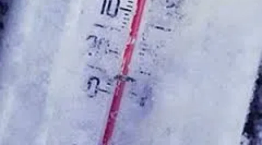 SPCA Offers Suggestions For Pets And Extreme Cold