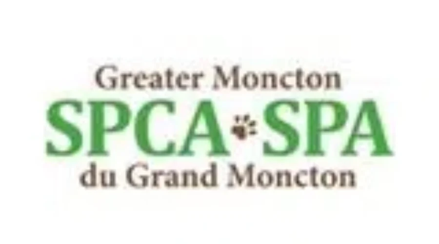 Greater Moncton SPCA Pushes For More Pet Owners To License Their Pets