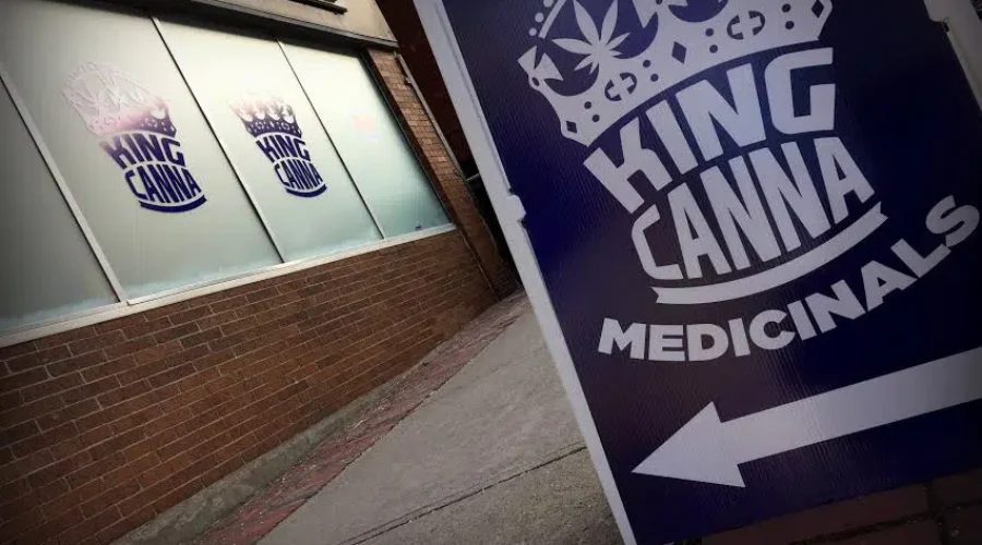 $225,000 Worth Of Marijuana Products Seized Following Raids By Saint John Police