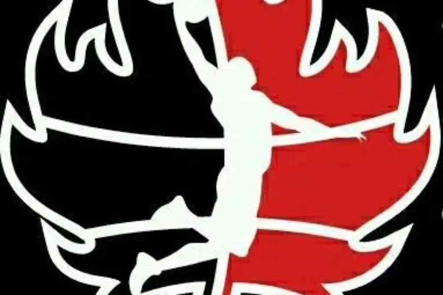 Moncton Magic Begin NBL Play Next Season