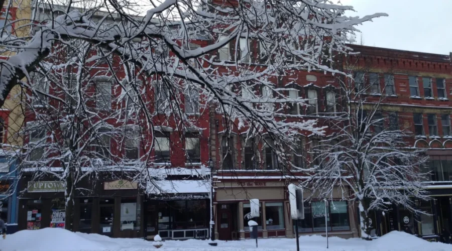 Conservation Council Likes Ice Storm Report