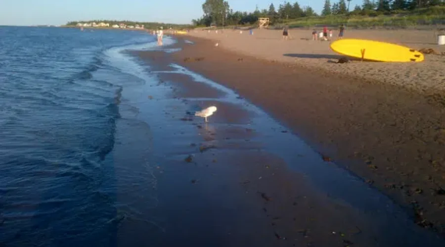 Government Announces Two Projects Worth $1.68 Million For Improving Water Quality At Parlee And Murray Beach