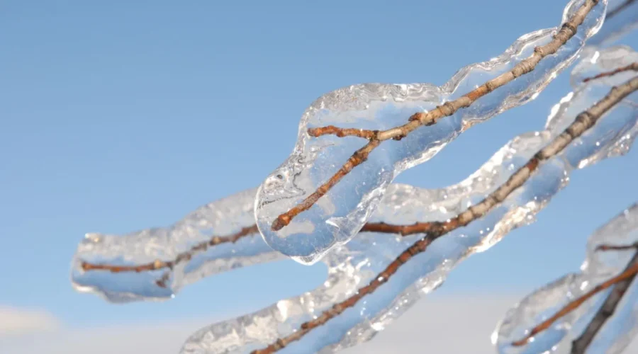 Icy Road Conditions Close Schools