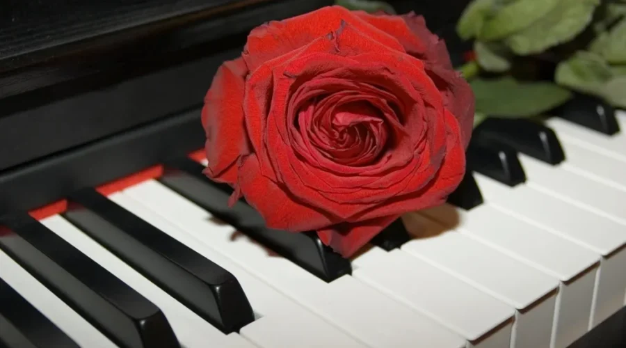 List Of Top 20 Romantic Cities Lacks Representation From Atlantic Canada