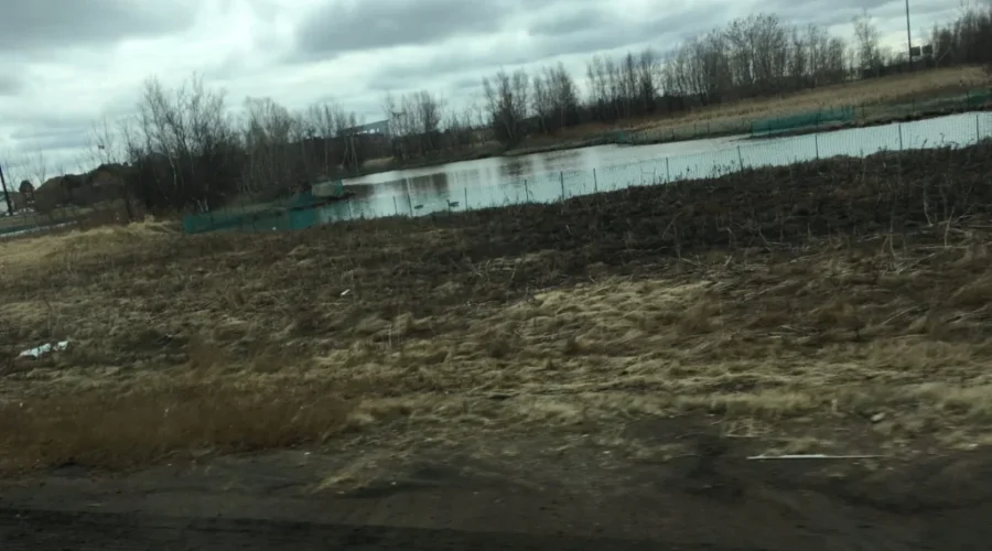 April Marks One Year Since Efforts Began To Discourage Geese From The Dieppe Traffic Circle