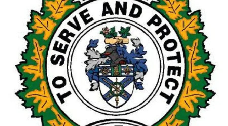 Body Found In Woods In Amherst