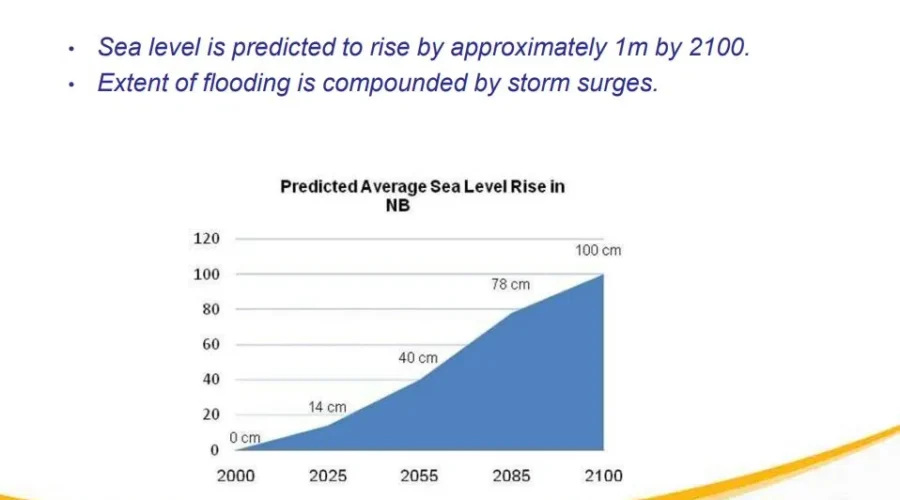 New Building Guidelines Coming In Wake Of Flooding