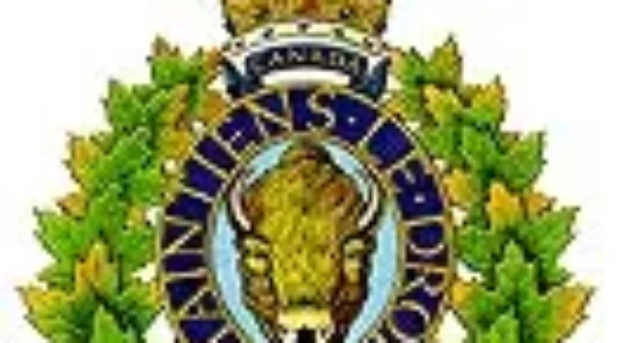 Investigation Underway After Dog Death In PEI