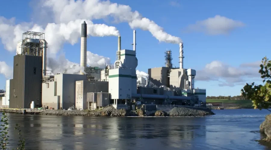 Irving Pulp And Paper Admits To Pollution Charges