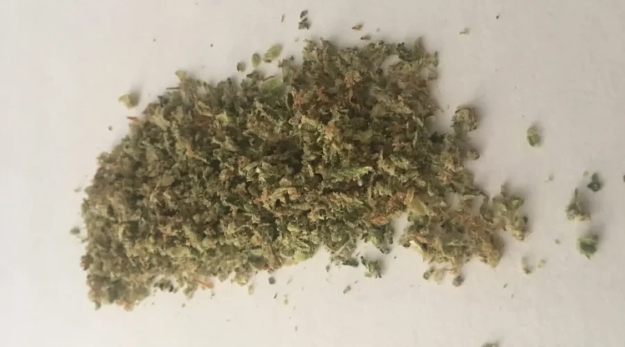 Vets Unleashed: We’ve Been Really ‘Left Out Of This Debate And Discussion’ On Legalized Pot