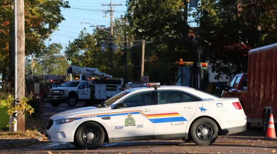 Fallen Tree Closes Botsford Street