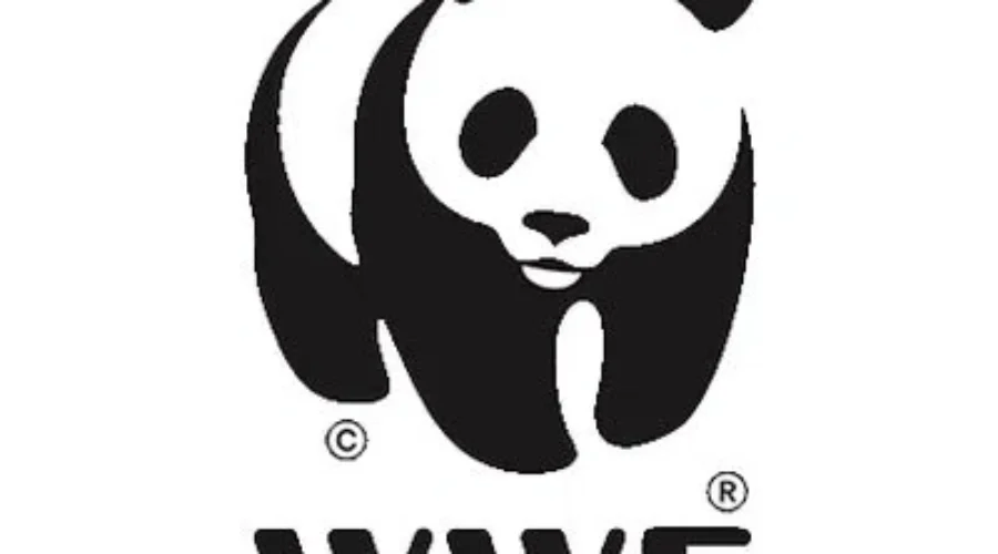 NB Needs More Political Will To Protect Wildlife