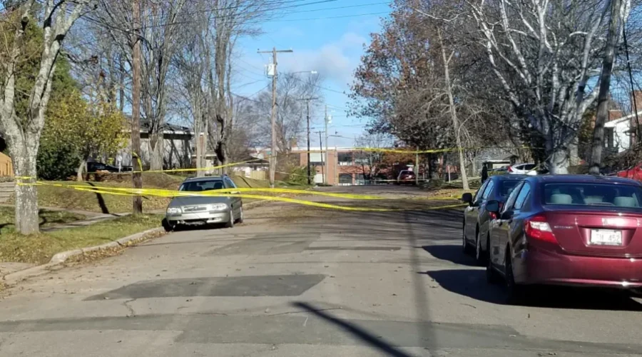 Burying Power Lines Too Costly: NB Power