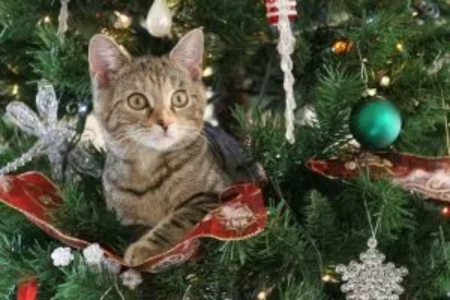 The Puuurfect Christmas Tree For Your Pets on the Naughty List