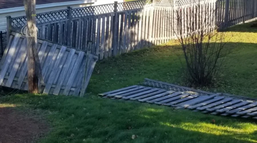 IBC Says Check Insurance Policy Before Filing Claim