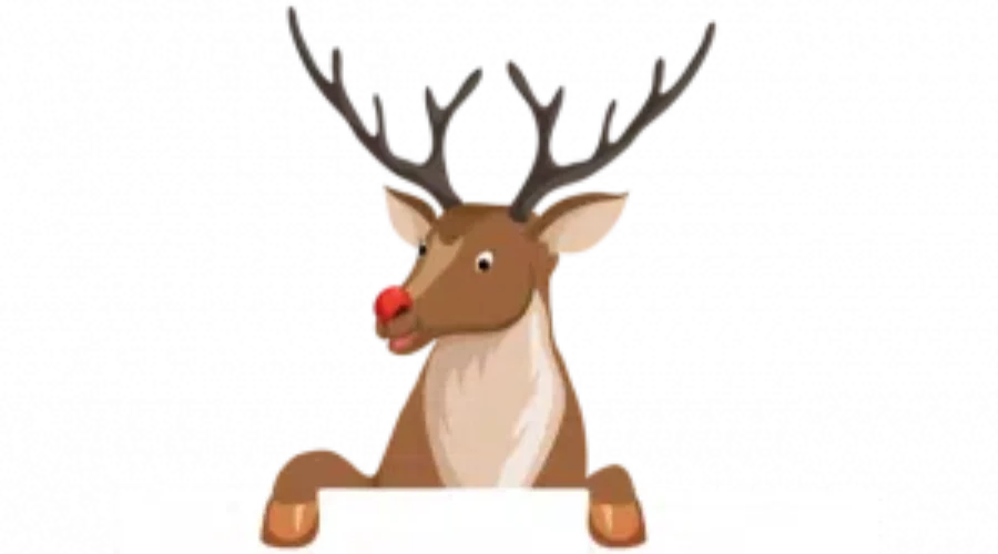 Rudolph the red nose reindeer facts!!!