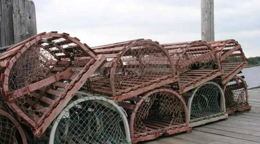 Weather Forces Delay Of Lobster Season