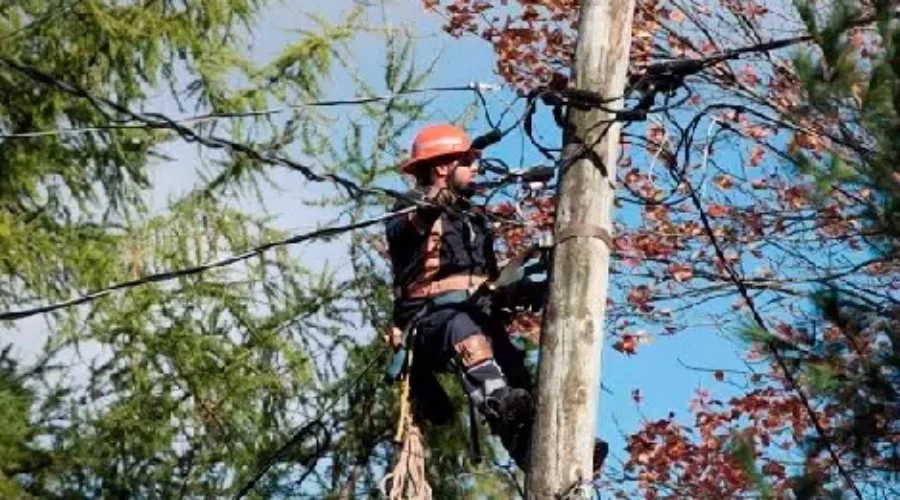 Several NB Schools Closed Due to Power Outages