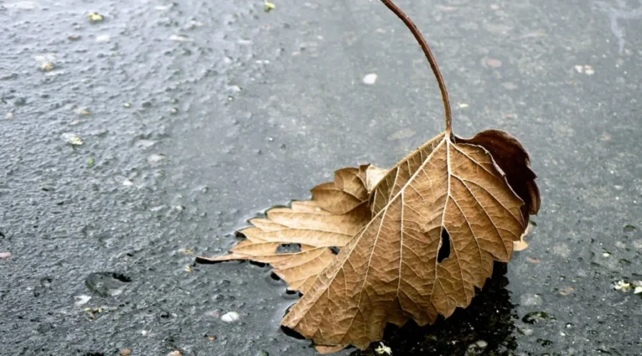 More Heavy Rain For Southern NB