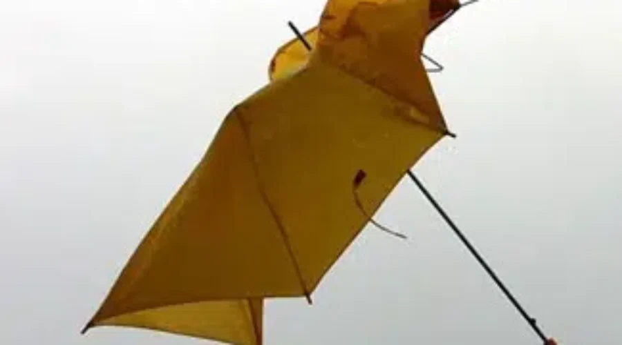 RBC Poll Shows Canadians Prepared For Weather, But Not Financial Emergencies