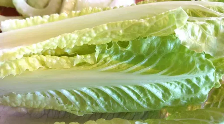 CFIA Says Romaine Lettuce Now Safe In Canada