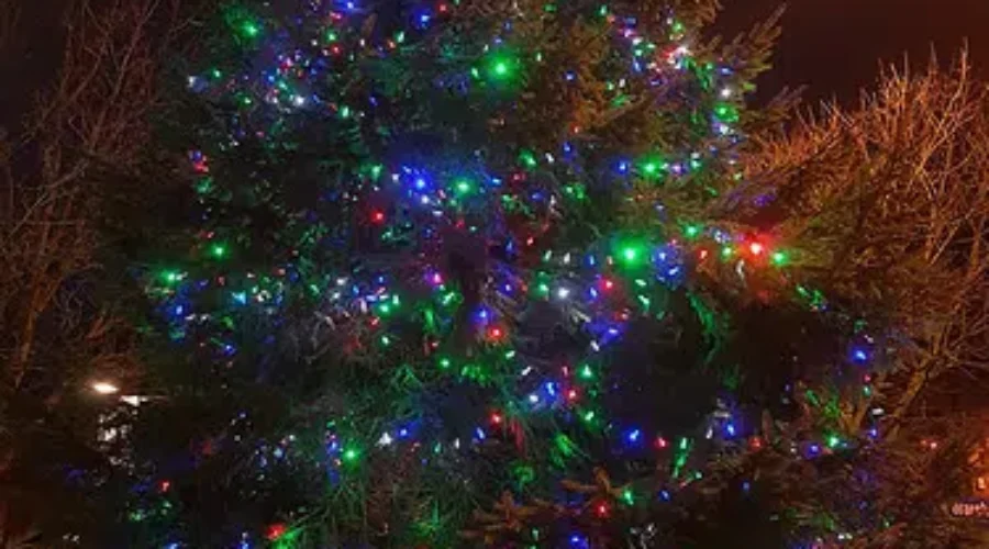 People Feel Happiness, Sadness And Even Loneliness During The Festive Season