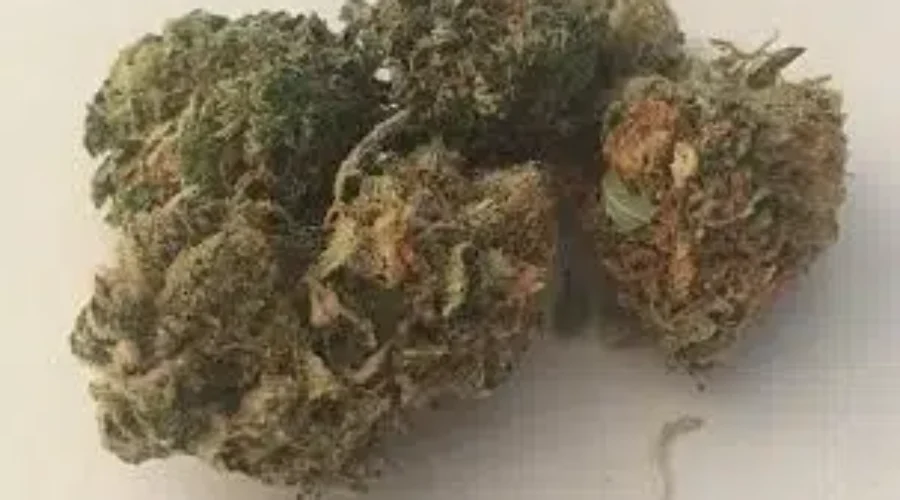 Survey Finds 10% Of Canadians Will Gift Cannabis